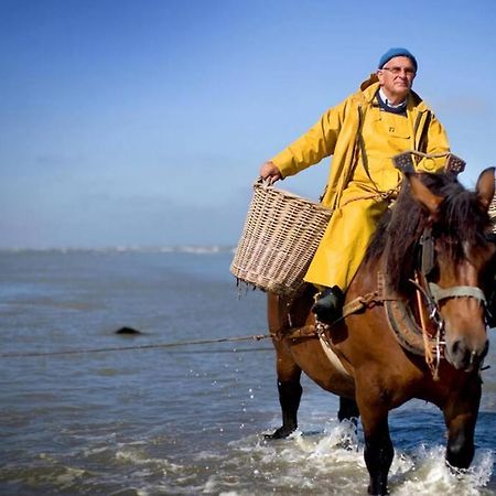 Zeezonzand Koksijde Bagian luar foto