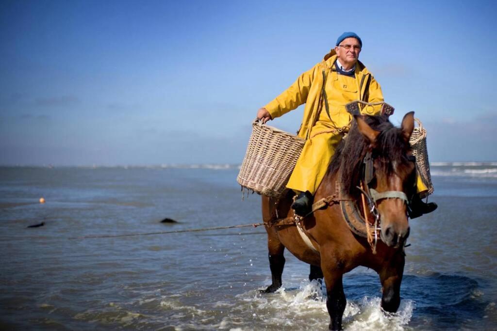 Zeezonzand Koksijde Bagian luar foto