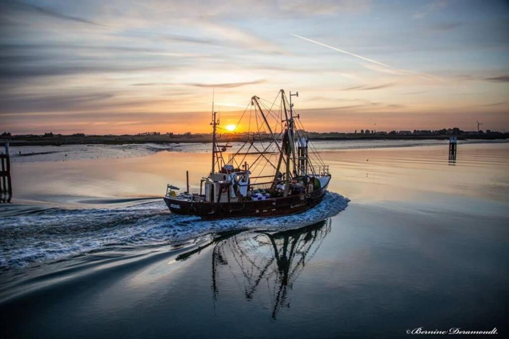 Zeezonzand Koksijde Bagian luar foto